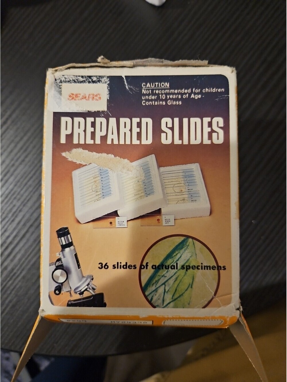 35 Prepared Slides